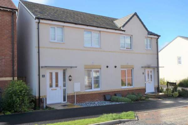 House sit in Newton Abbot, United Kingdom
