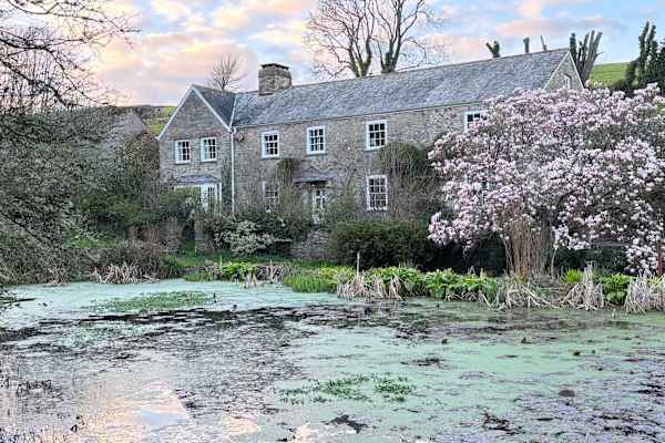 House sit in Salcombe, United Kingdom
