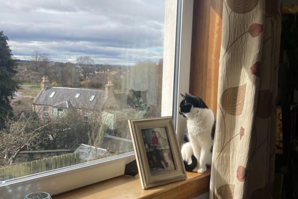 House sit in Forres, United Kingdom