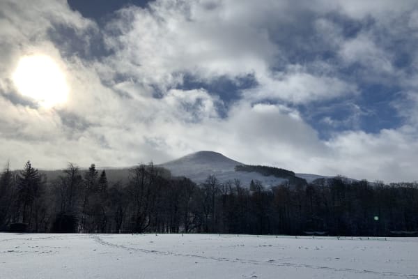 House sit in Falkland, United Kingdom