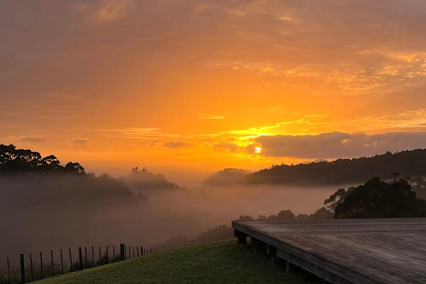 House sit in Matapouri, New Zealand