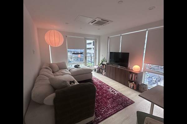House sit in Borough of Queens, NY, US