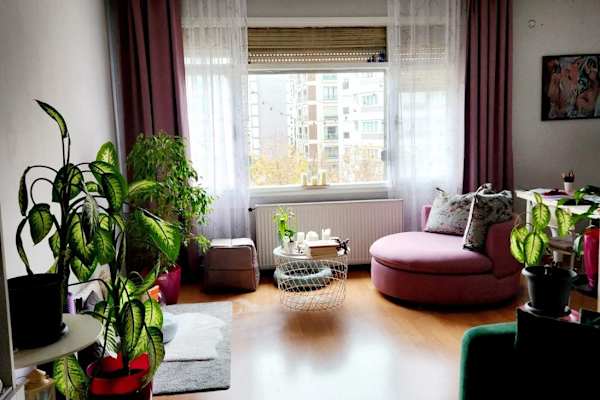 House sit in Maltepe, Turkey
