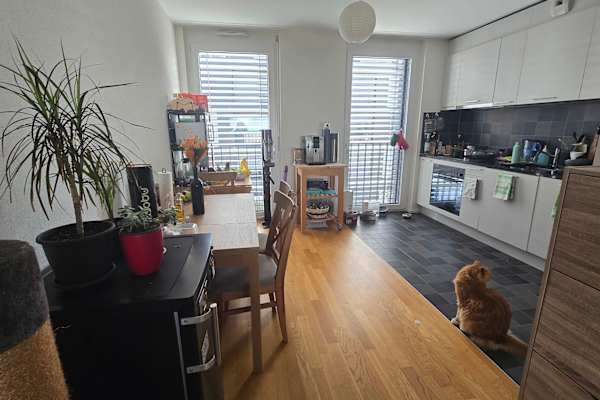 House sit in Lausanne, Switzerland