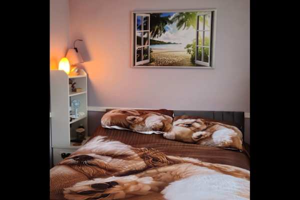 House sit in Milton Keynes, United Kingdom