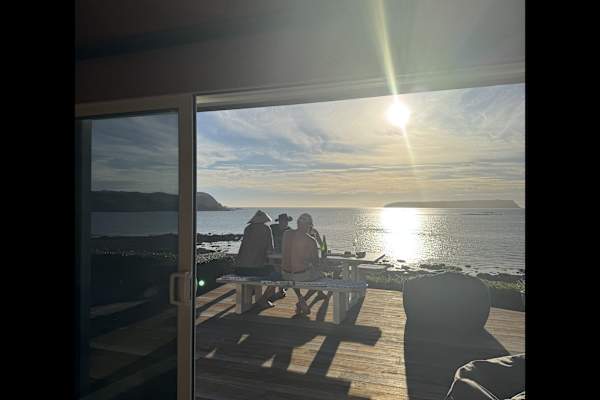 House sit in Wellington, New Zealand