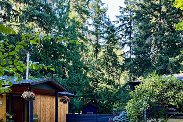 House sit in Poulsbo, WA, US