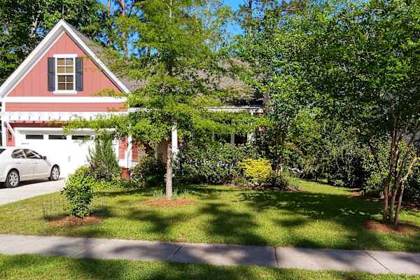 House sit in Charleston, SC, US