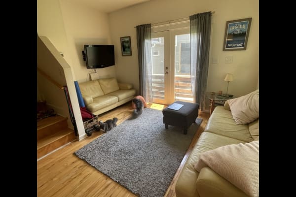 House sit in Asheville, NC, US