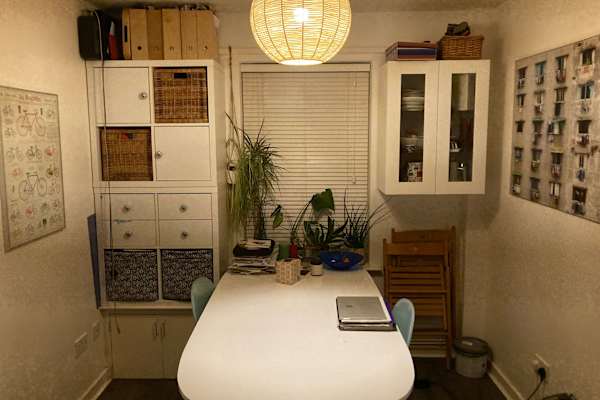 House sit in Manchester, United Kingdom