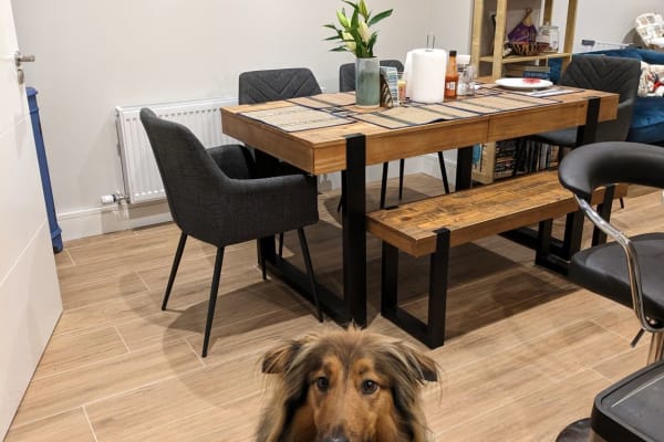 House sit in Greystones, Ireland