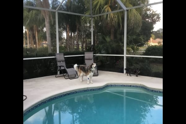 House sit in Jacksonville Beach, FL, US