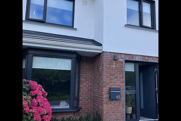 House sit in Gaillimh, Ireland