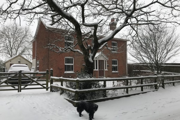 House sit in Ringwood, United Kingdom