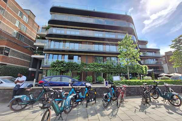 House sit in Clapham, United Kingdom