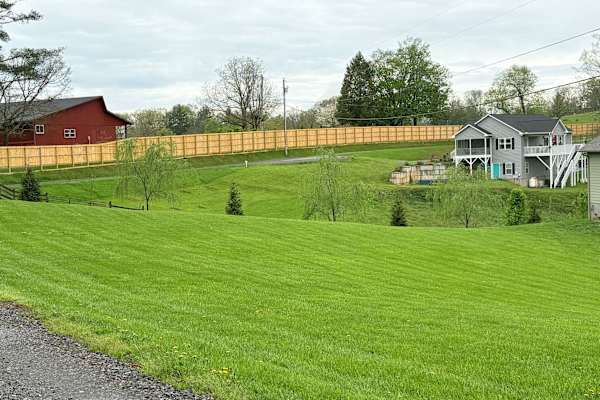 House sit in Weaverville, NC, US