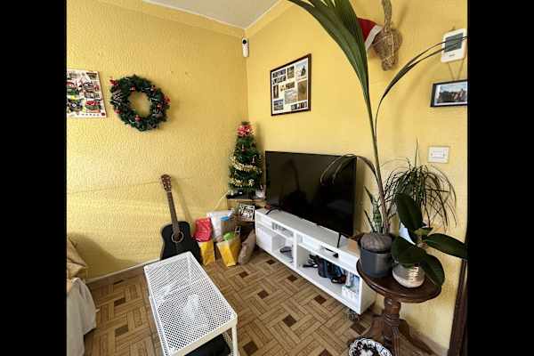 House sit in Madrid, Spain