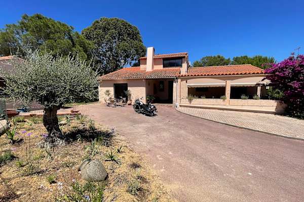 House sit in Vilallonga dels Monts, France
