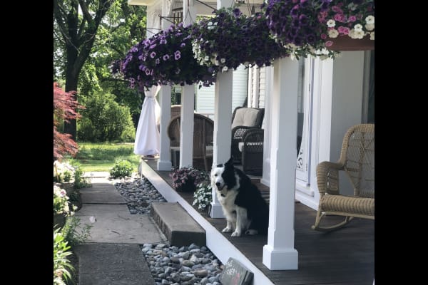House sit in Frenchtown, NJ, US