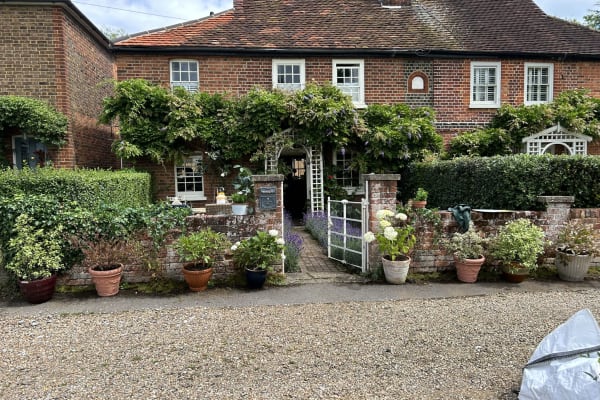 House sit in Esher, United Kingdom