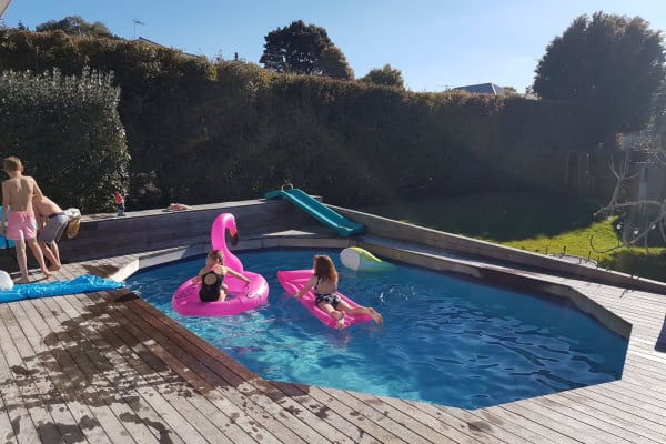 House sit in Green Bay, New Zealand