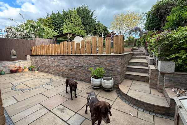 House sit in Northampton, United Kingdom