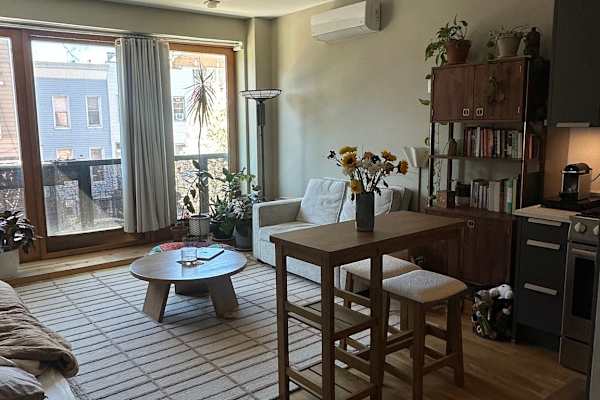 House sit in Bushwick, NY, US