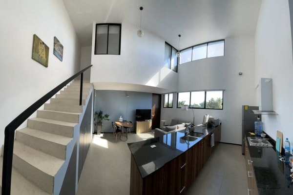 House sit in Mérida, Mexico