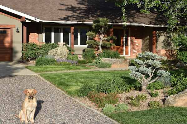 House sit in Boulder, CO, US