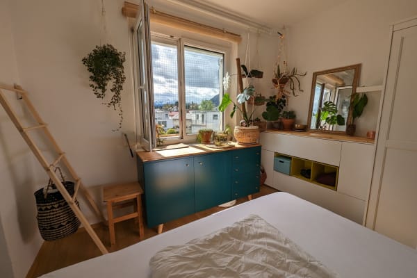 House sit in Salzburg, Austria