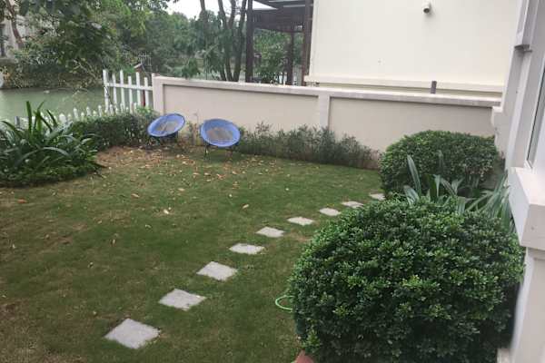 House sit in São Carlos, Brazil