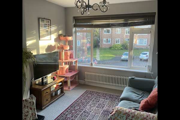 House sit in Solihull, United Kingdom