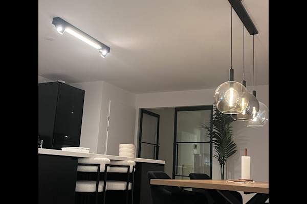 House sit in Amsterdam, Netherlands