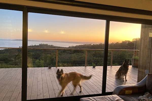 House sit in Plettenberg Bay, South Africa