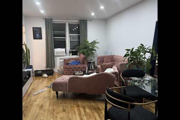 House sit in Brooklyn, NY, US