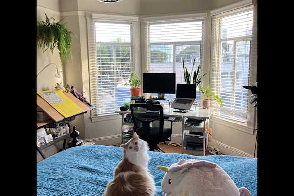House sit in San Francisco, CA, US