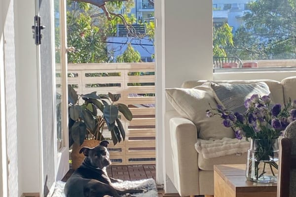 House sit in Sydney, NSW, Australia