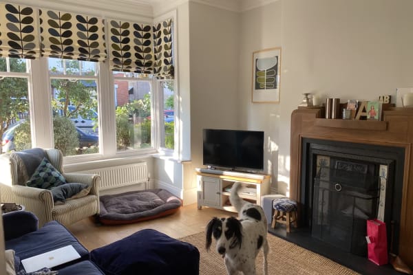 House sit in Newcastle upon Tyne, United Kingdom