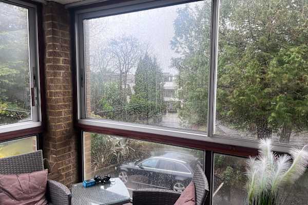 House sit in Poole, United Kingdom