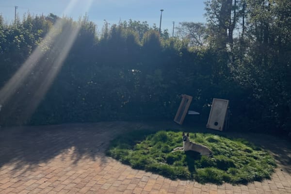 House sit in Santa Monica, CA, US