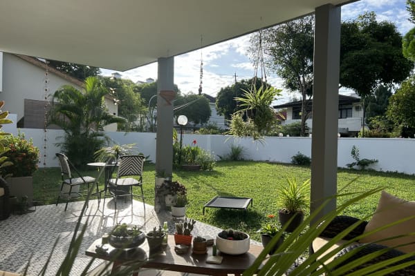 House sit in George Town, Malaysia