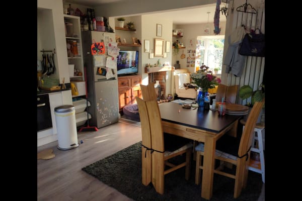 House sit in Leeds, United Kingdom