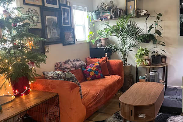 House sit in Richmond, VA, US