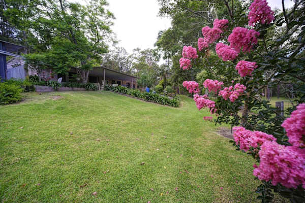 House sit in Nabiac, NSW, Australia