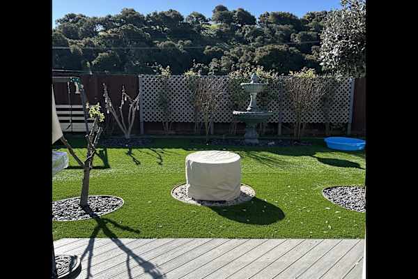 House sit in Salinas, CA, US