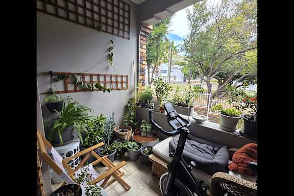 House sit in Cape Town, South Africa