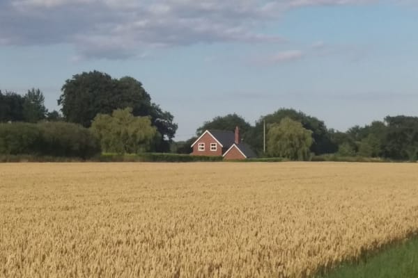 House sit in Selby, United Kingdom