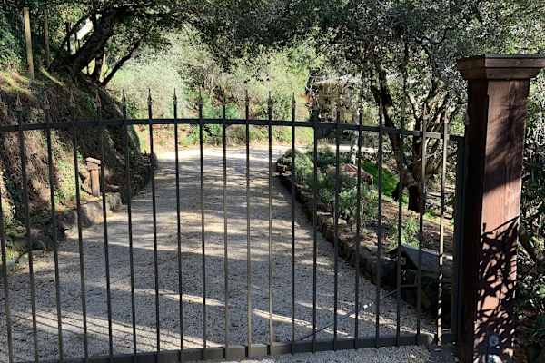 House sit in Mill Valley, CA, US