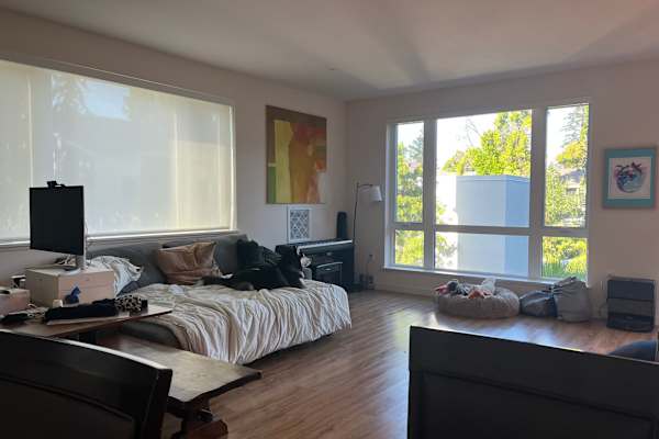 House sit in Santa Clara, CA, US