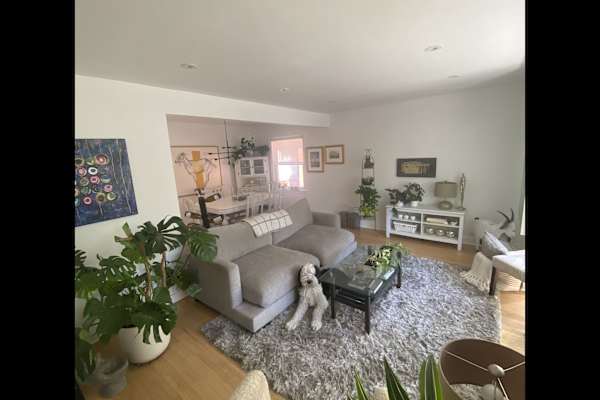 House sit in Toronto, ON, Canada